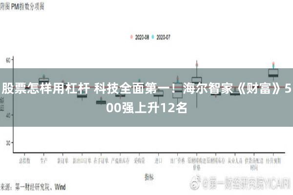 股票怎样用杠杆 科技全面第一！海尔智家《财富》500强上升12名