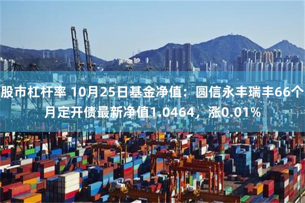 股市杠杆率 10月25日基金净值：圆信永丰瑞丰66个月定开债最新净值1.0464，涨0.01%