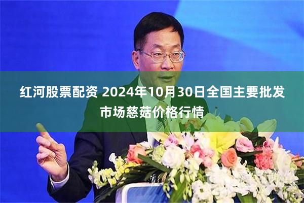 红河股票配资 2024年10月30日全国主要批发市场慈菇价格行情