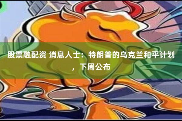 股票融配资 消息人士：特朗普的乌克兰和平计划，下周公布