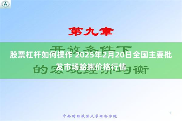 股票杠杆如何操作 2025年2月20日全国主要批发市场蛤蜊价格行情